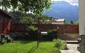 Casa Galbena Busteni